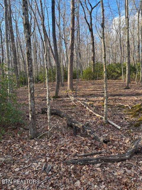 Cliff Park Road Monterey, TN 38574 - Photo 16 of 22 Nice building site4