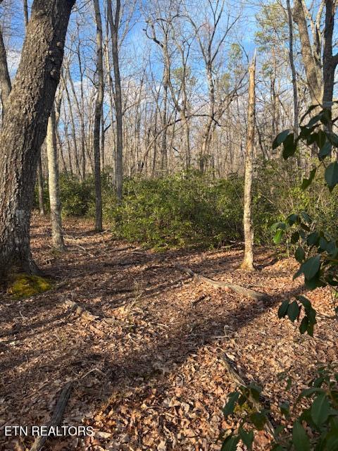 Cliff Park Road Monterey, TN 38574 - Photo 17 of 22 Nice building site5