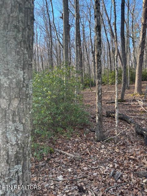 Cliff Park Road Monterey, TN 38574 - Photo 18 of 22 Back of property