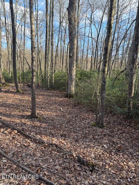 Cliff Park Road Monterey, TN 38574 - Photo 19 of 22 Back of property2