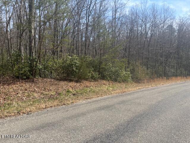 Cliff Park Road Monterey, TN 38574 - Photo 2 of 22 Front2