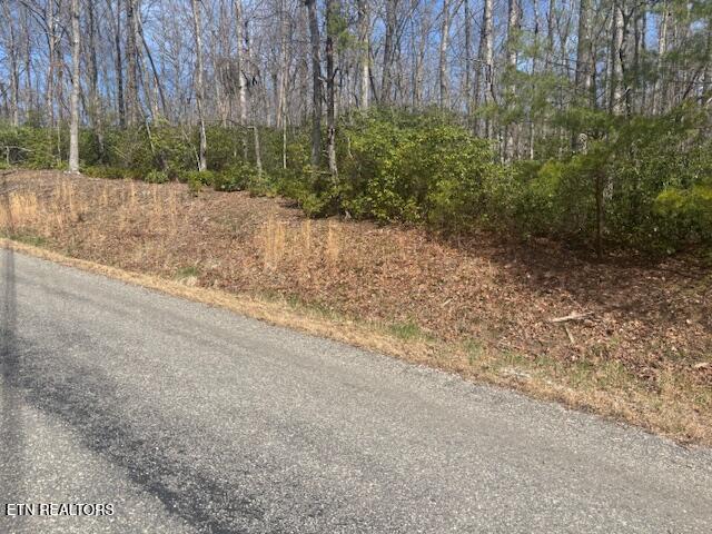 Cliff Park Road Monterey, TN 38574 - Photo 3 of 22 Front3