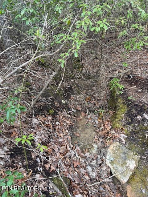 Cliff Park Road Monterey, TN 38574 - Photo 7 of 22 Wet Weather Creeki