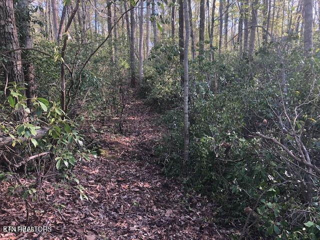 Cliff Park Road Monterey, TN 38574 - Photo 9 of 22 Inside view