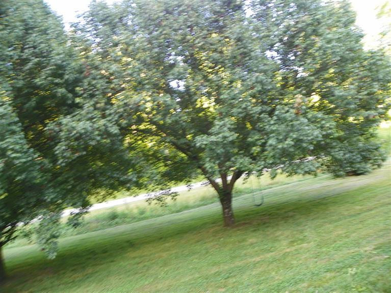 1628 East Union Road Carlisle, KY 40311 - Photo 11 of 11 Photo 13