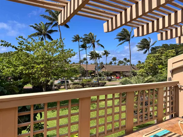 a view of a small yard and potted plants