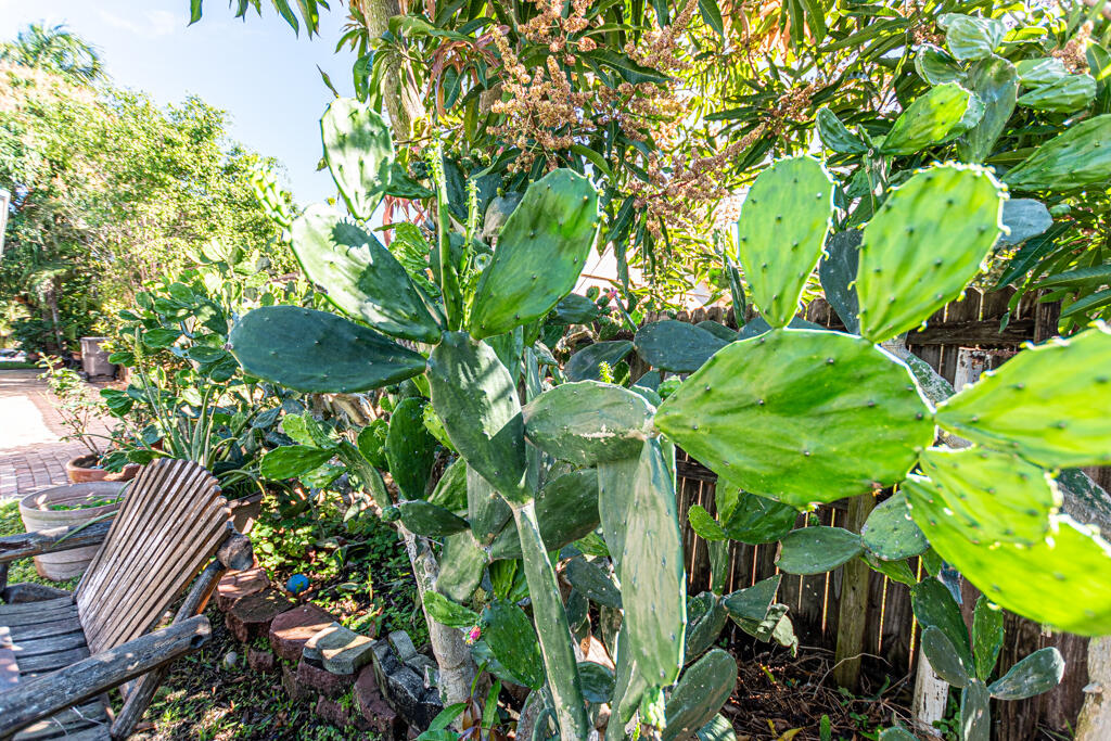 5912 Banana Road Royal Palm Estates, FL 33413 - Photo 20 of 23 DSC_0120