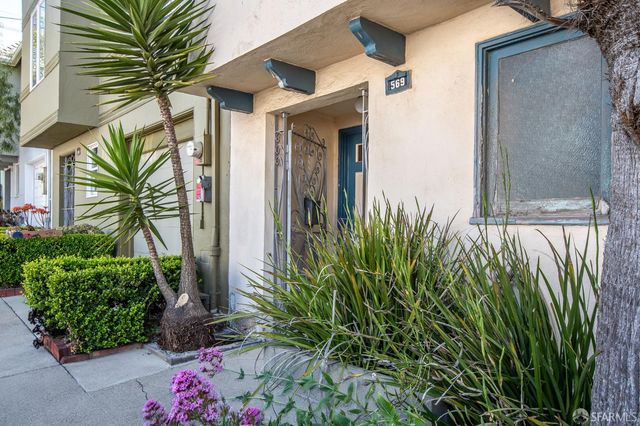 a plant that is in front of a house