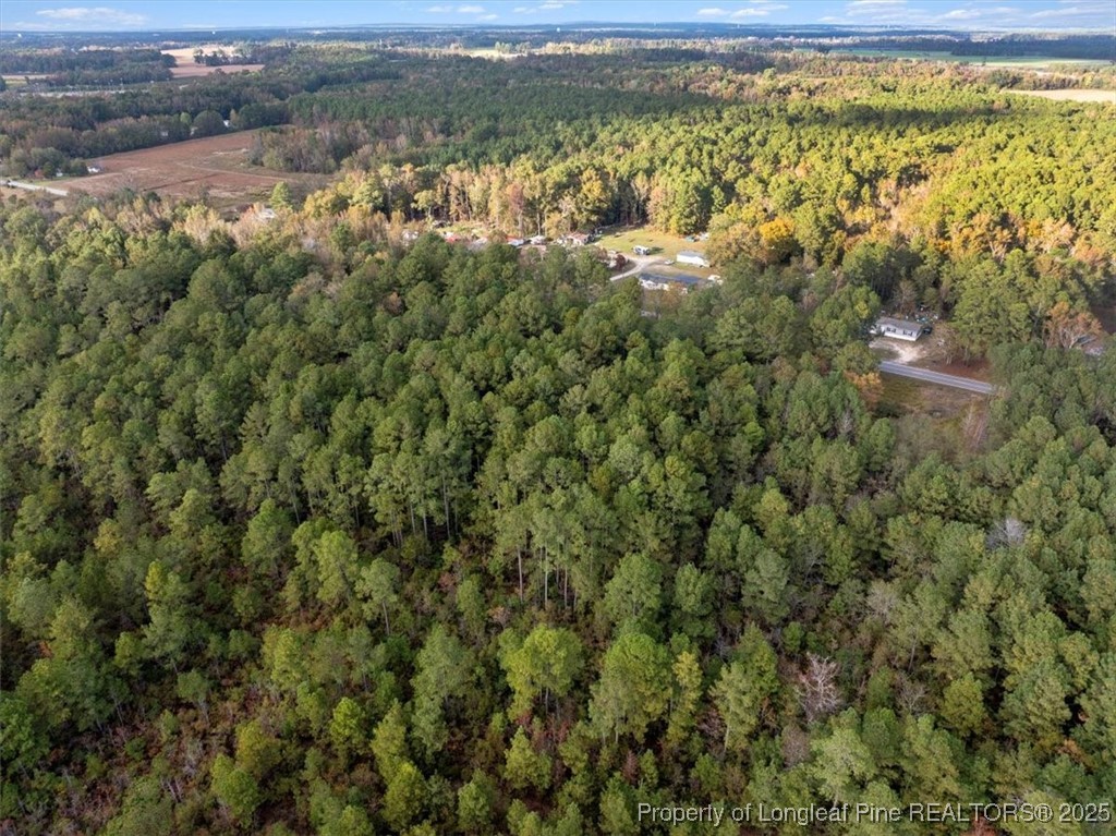 North Shannon Road Red Springs, NC 28377 - Photo 7 of 9 a view of a forest from a yard
