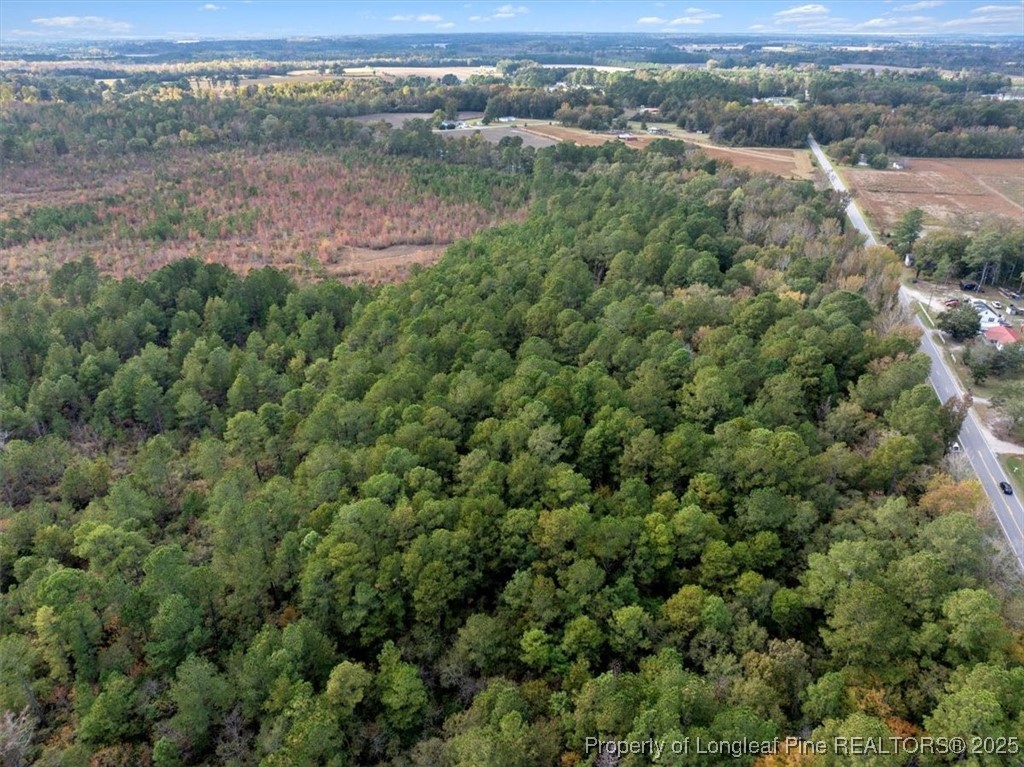North Shannon Road Red Springs, NC 28377 - Photo 8 of 9 an aerial view of a houses with a yard