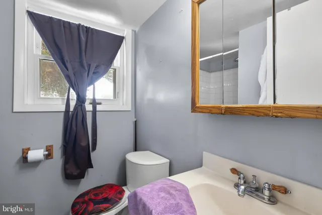 a bathroom with a sink a toilet and a mirror