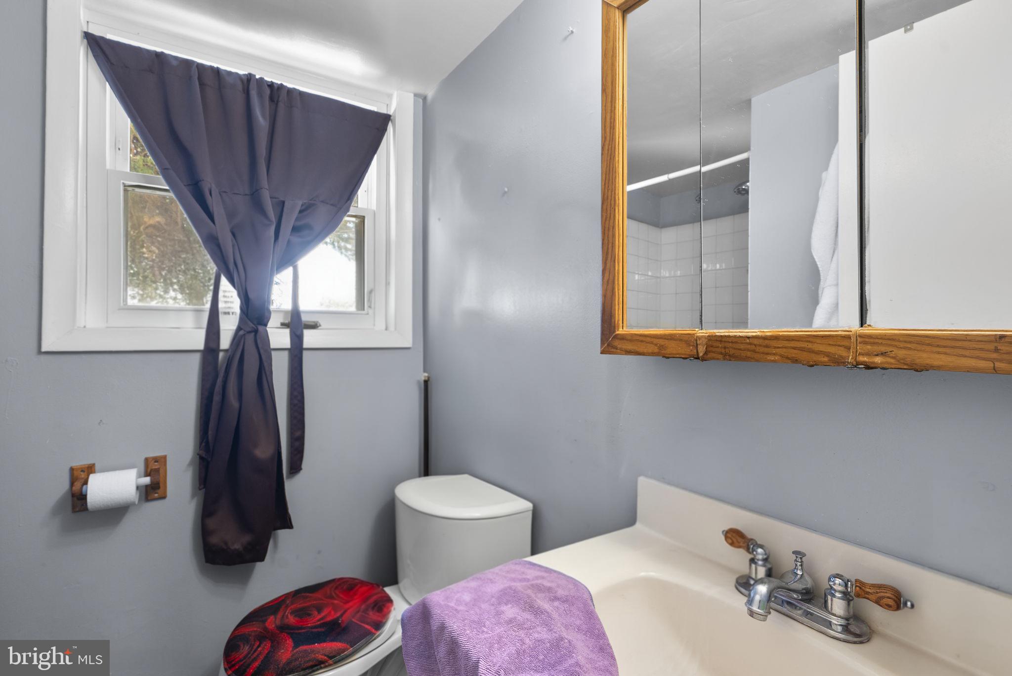 1408 Chilton Drive Silver Spring, MD 20904 - Photo 23 of 29 a bathroom with a sink a toilet and a mirror