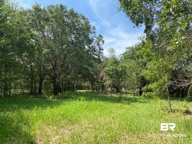 0 Beasley Road Foley, AL 36535 - Photo 11 of 29