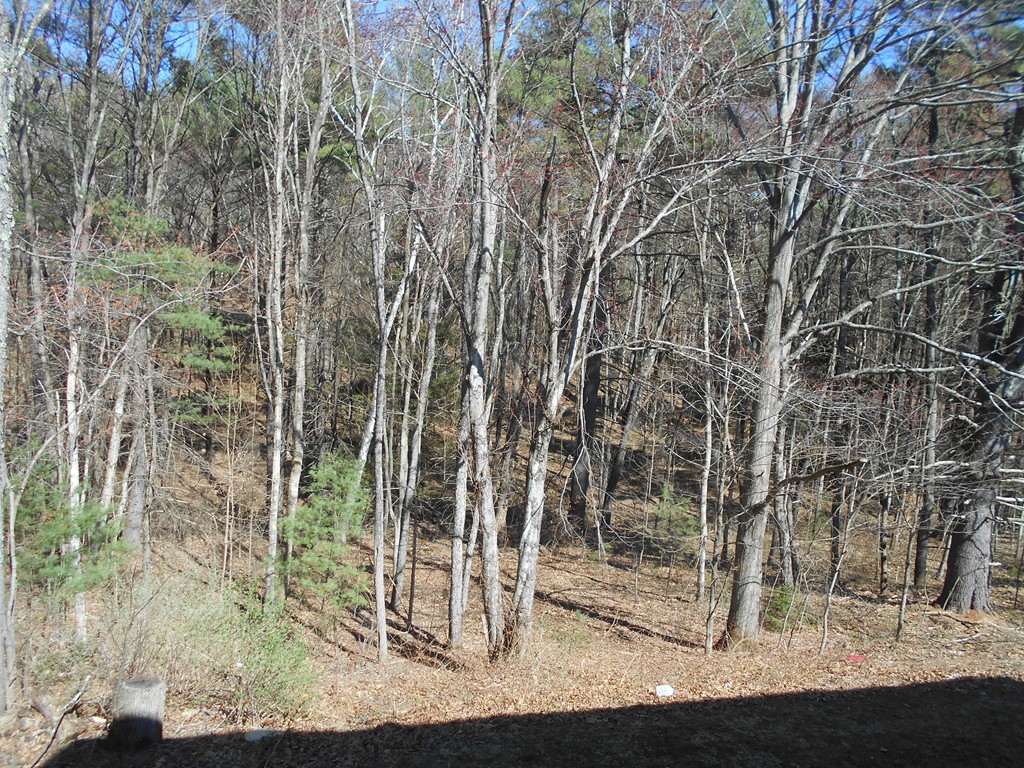 111 Brickyard Road, Unit D1 Athol, MA 01331 - Photo 8 of 9
