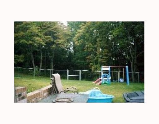 146 Joe Hall Road Beaver Falls, PA 15010 - Photo 8 of 8 Yard/Garden.