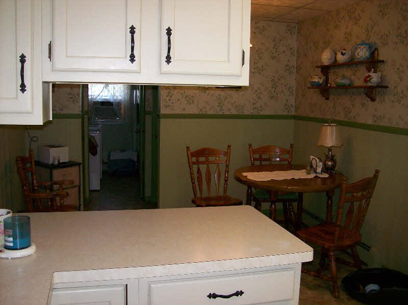 925 Kaiser Tower Road Linwood, MI 48634 - Photo 4 of 10