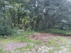 87115 Brooker Road Yulee, FL 32097 - Photo 3 of 10 Gallery Image 3
