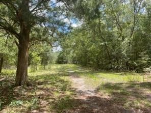 87115 Brooker Road Yulee, FL 32097 - Photo 6 of 10 Gallery Image 6