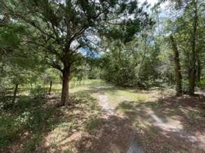 87115 Brooker Road Yulee, FL 32097 - Photo 7 of 10 Gallery Image 7