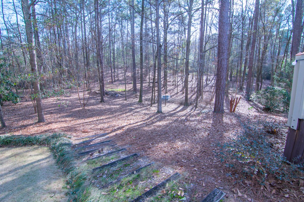 262 Pintail Drive Cataula, GA 31804 - Photo 57 of 67