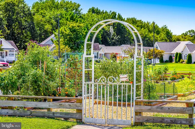 a view of a garden with a area
