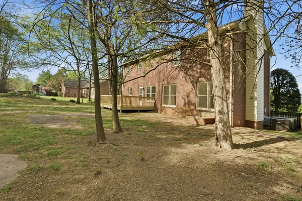 a view of yard with tree