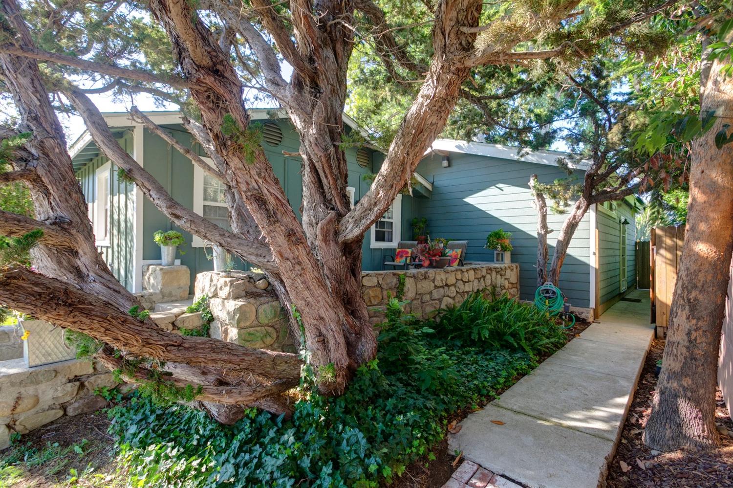 195 Grapevine Road Oak View, CA 93022 - Photo 2 of 41 a backyard of a house with lots of green space