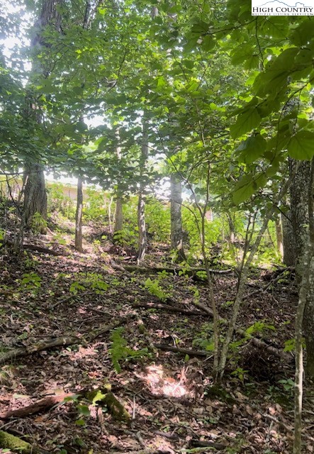 Doe Ridge Road Boone, NC 28607 - Photo 2 of 2 a backyard of a house with lots of green space