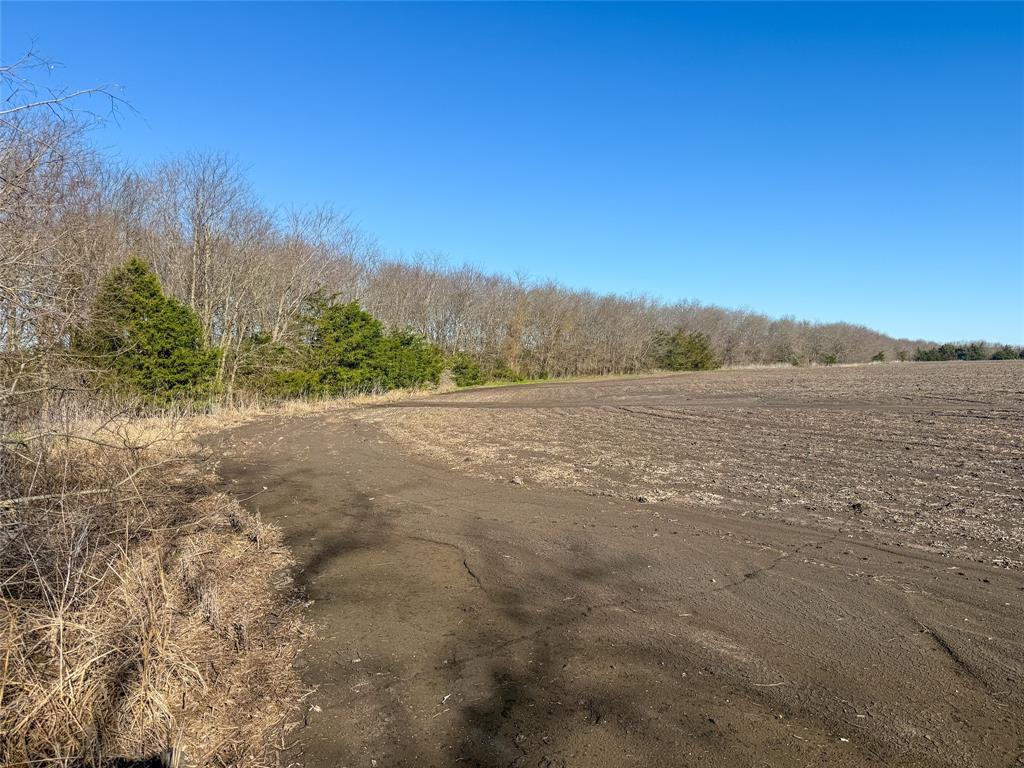 3060 County Road 3060 Cooper, TX 75432 - Photo 11 of 15 a view of mountain with lake view
