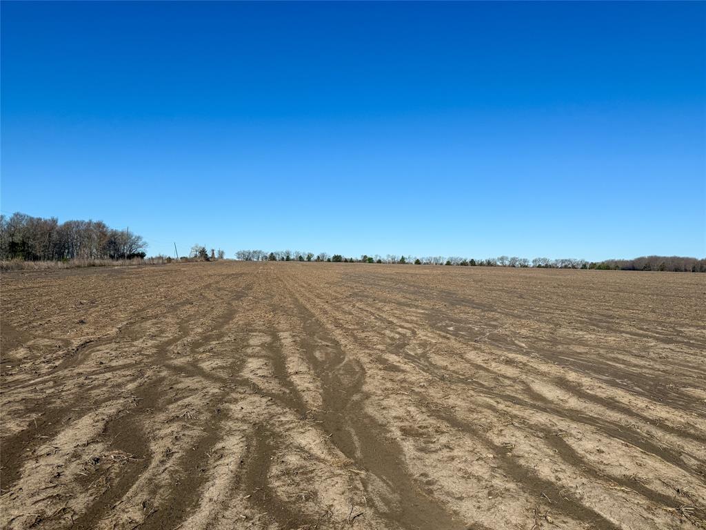 3060 County Road 3060 Cooper, TX 75432 - Photo 13 of 15