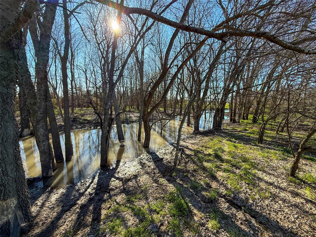 3060 County Road 3060 Cooper, TX 75432 - Photo 14 of 15 a view of backyard space