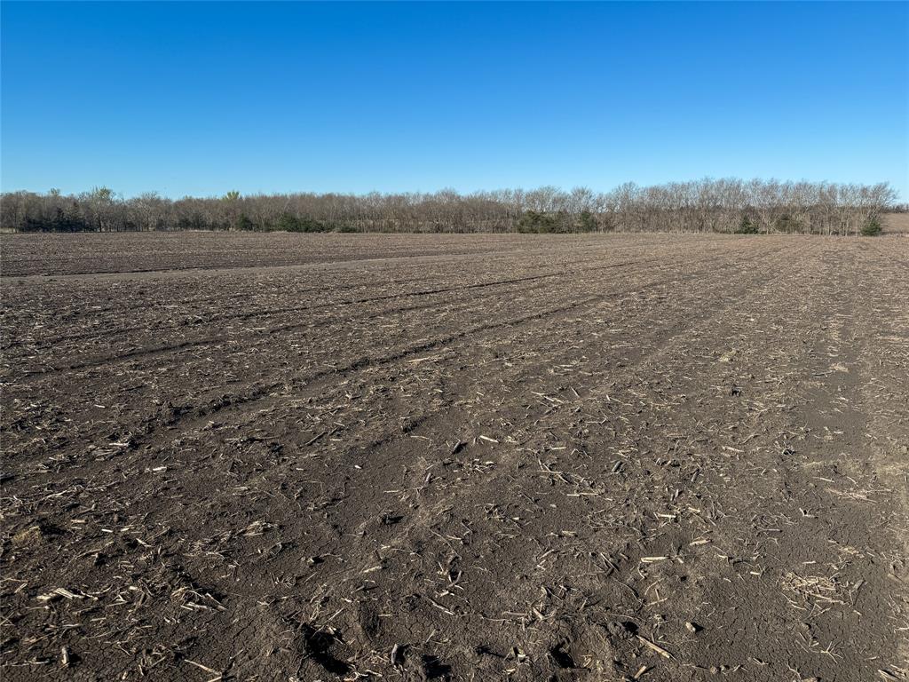 3060 County Road 3060 Cooper, TX 75432 - Photo 8 of 15 a view of beach and sunset