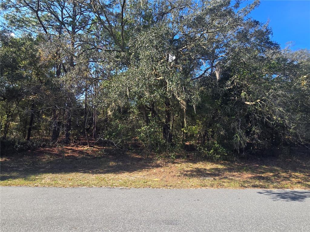 11370 North Ortega Point Dunnellon, FL 34433 - Photo 1 of 9 a view of a yard with a tree