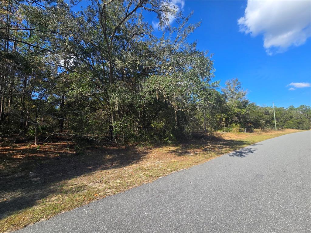 11370 North Ortega Point Dunnellon, FL 34433 - Photo 2 of 9 a view of a yard with a tree