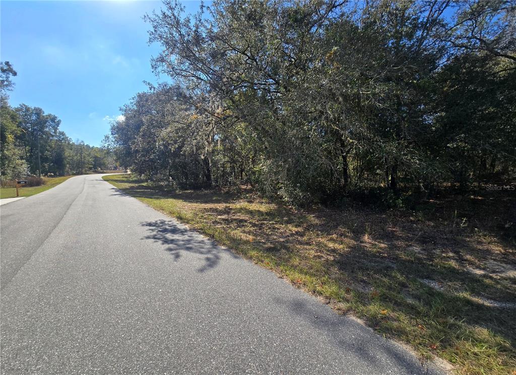 11370 North Ortega Point Dunnellon, FL 34433 - Photo 3 of 9 a view of a yard with plants and trees