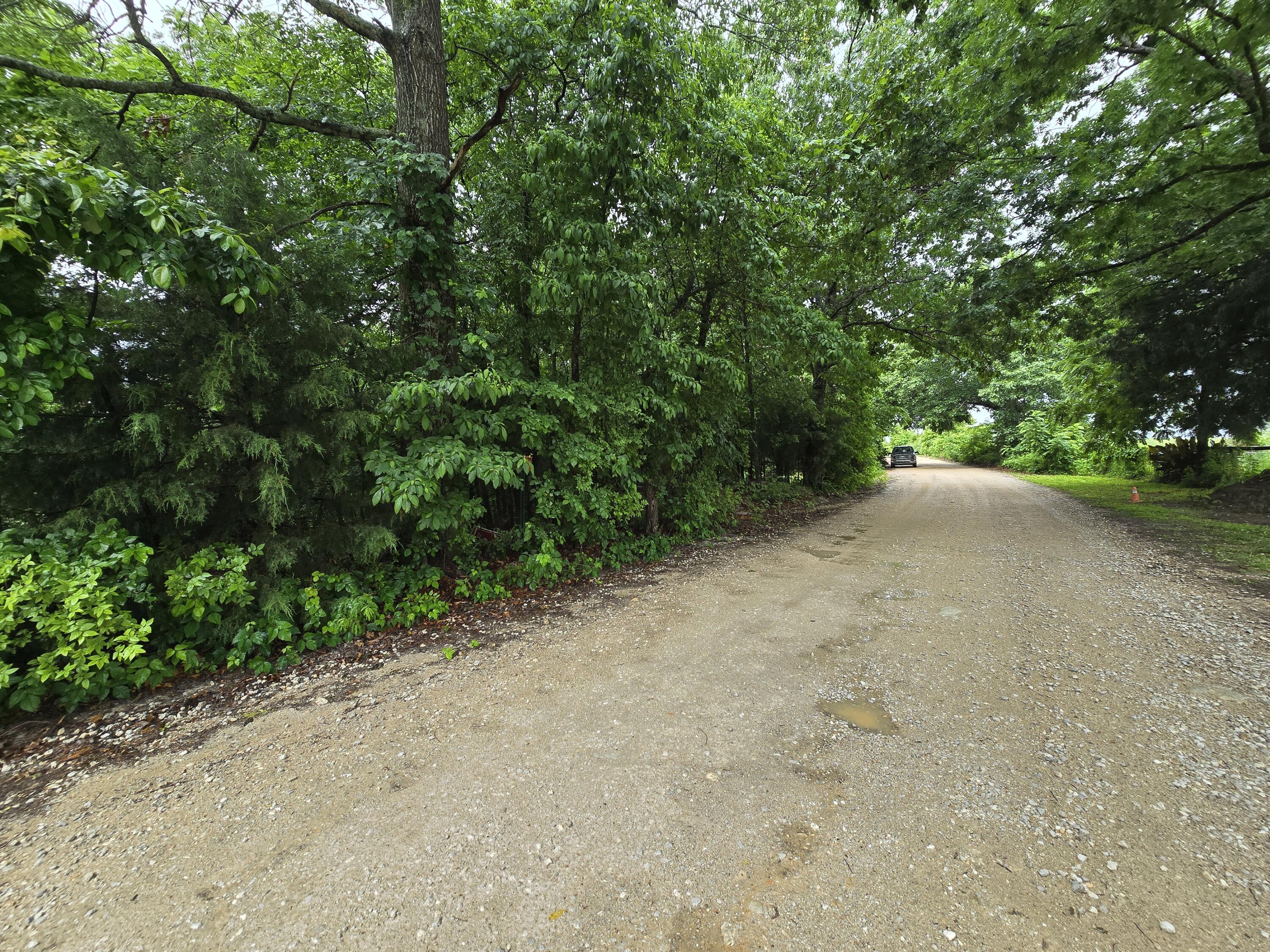 16882 Old Cricket Road West Omaha, AR 72662 - Photo 5 of 20 1
