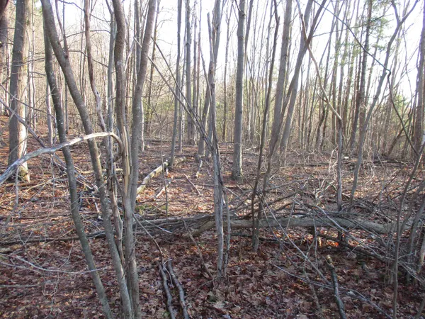 $170,000 | 5-a-10-5 Farley Ball Road, Temple, NH 03084