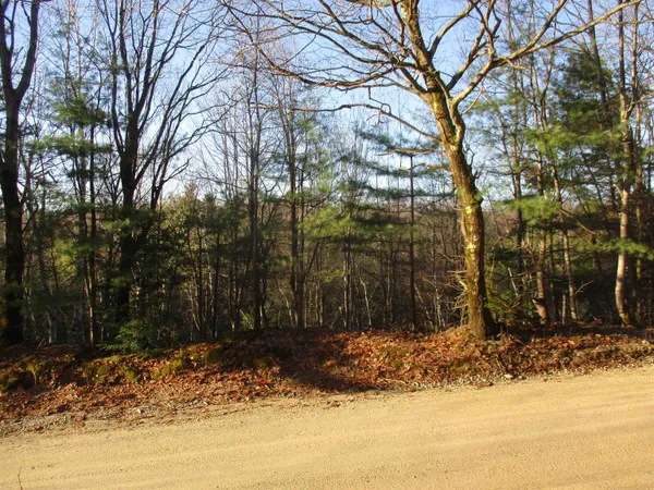 $170,000 | 5-a-10-5 Farley Ball Road, Temple, NH 03084