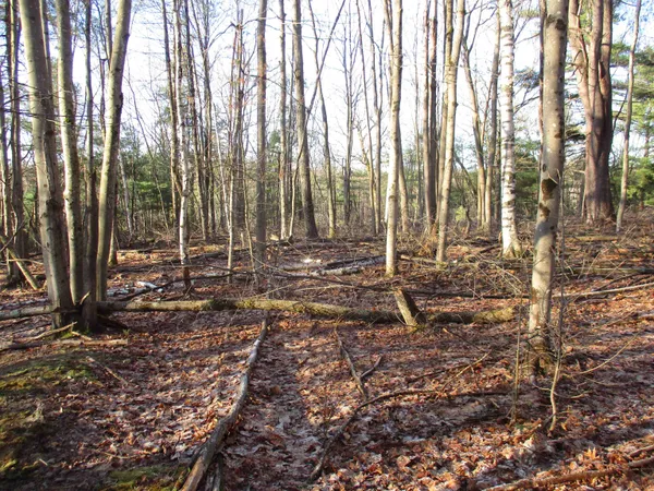 $170,000 | 5-a-10-5 Farley Ball Road, Temple, NH 03084