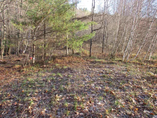 $170,000 | 5-a-10-5 Farley Ball Road, Temple, NH 03084