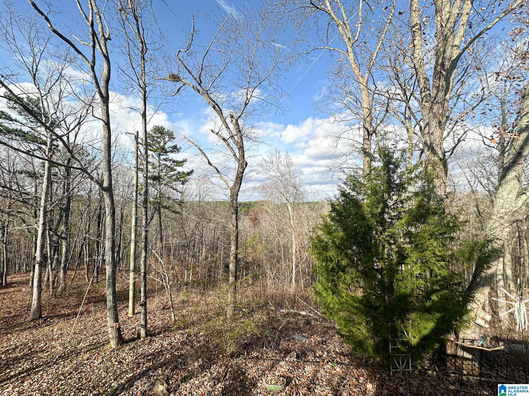 5325 Union T Road Talladega, AL 35160 - Photo 68 of 83