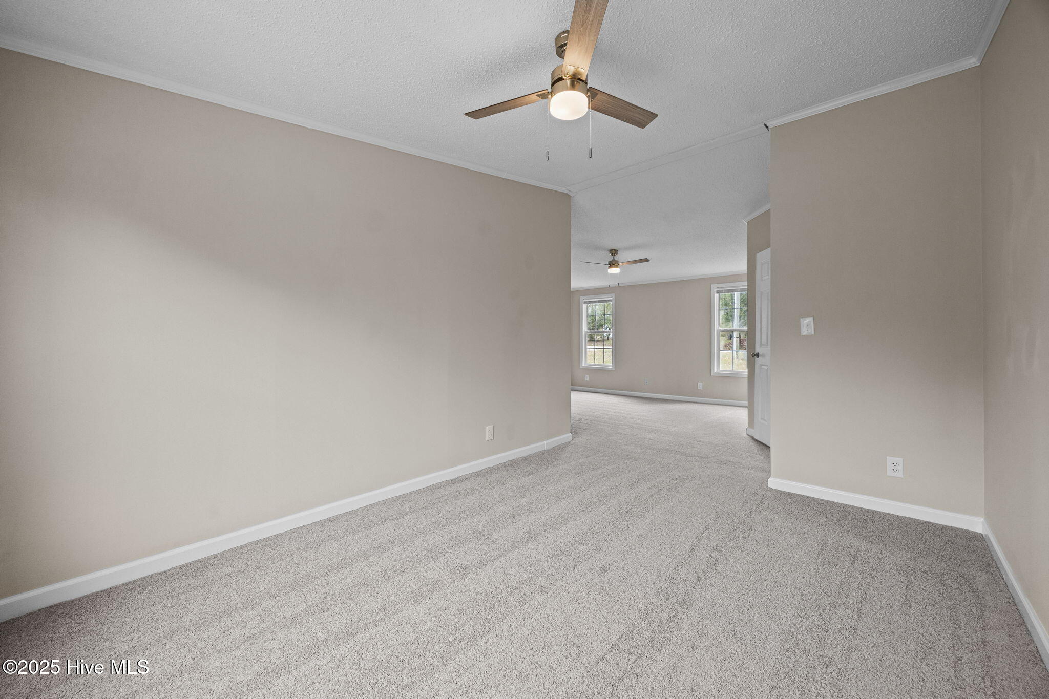 214 Jenkins Road Jacksonville, NC 28540 - Photo 10 of 45 7-web-or-mls-214 Jenkins Rd. 12