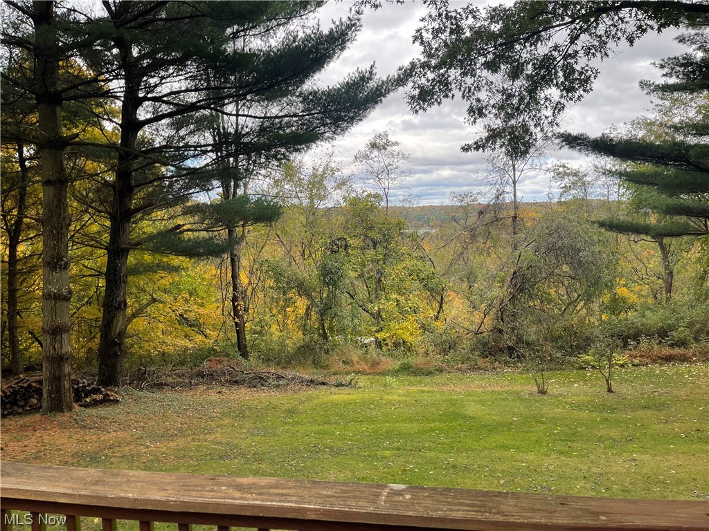 78700 Eva Mae Road Freeport, OH 43973 - Photo 33 of 33 View of lake through the trees from the deck