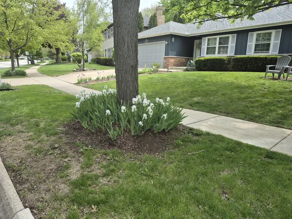 $3,500 | 1332 East Bailey Road, Naperville, IL 60565