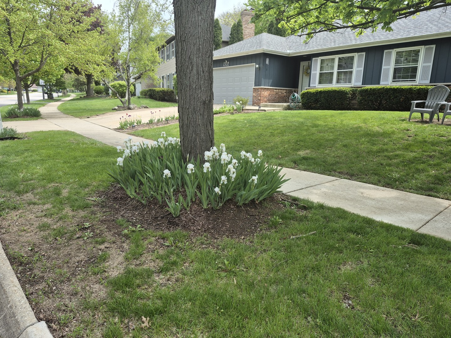 1332 East Bailey Road Naperville, IL 60565 - Photo 17 of 18