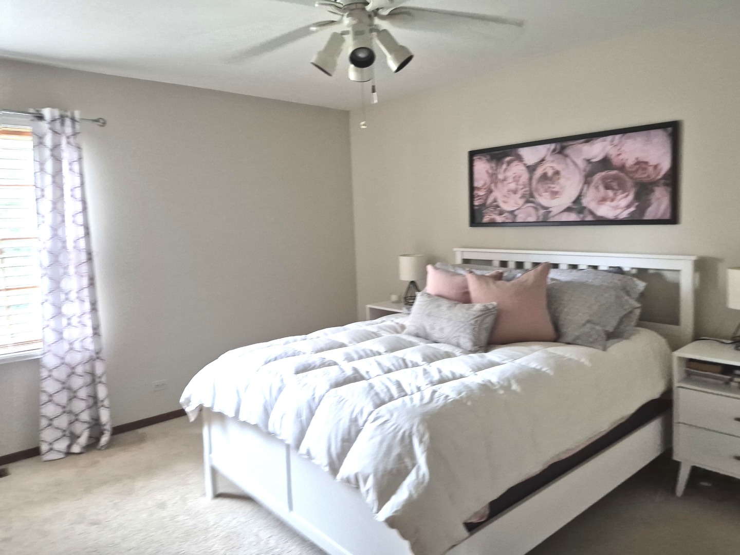 1332 East Bailey Road Naperville, IL 60565 - Photo 6 of 18