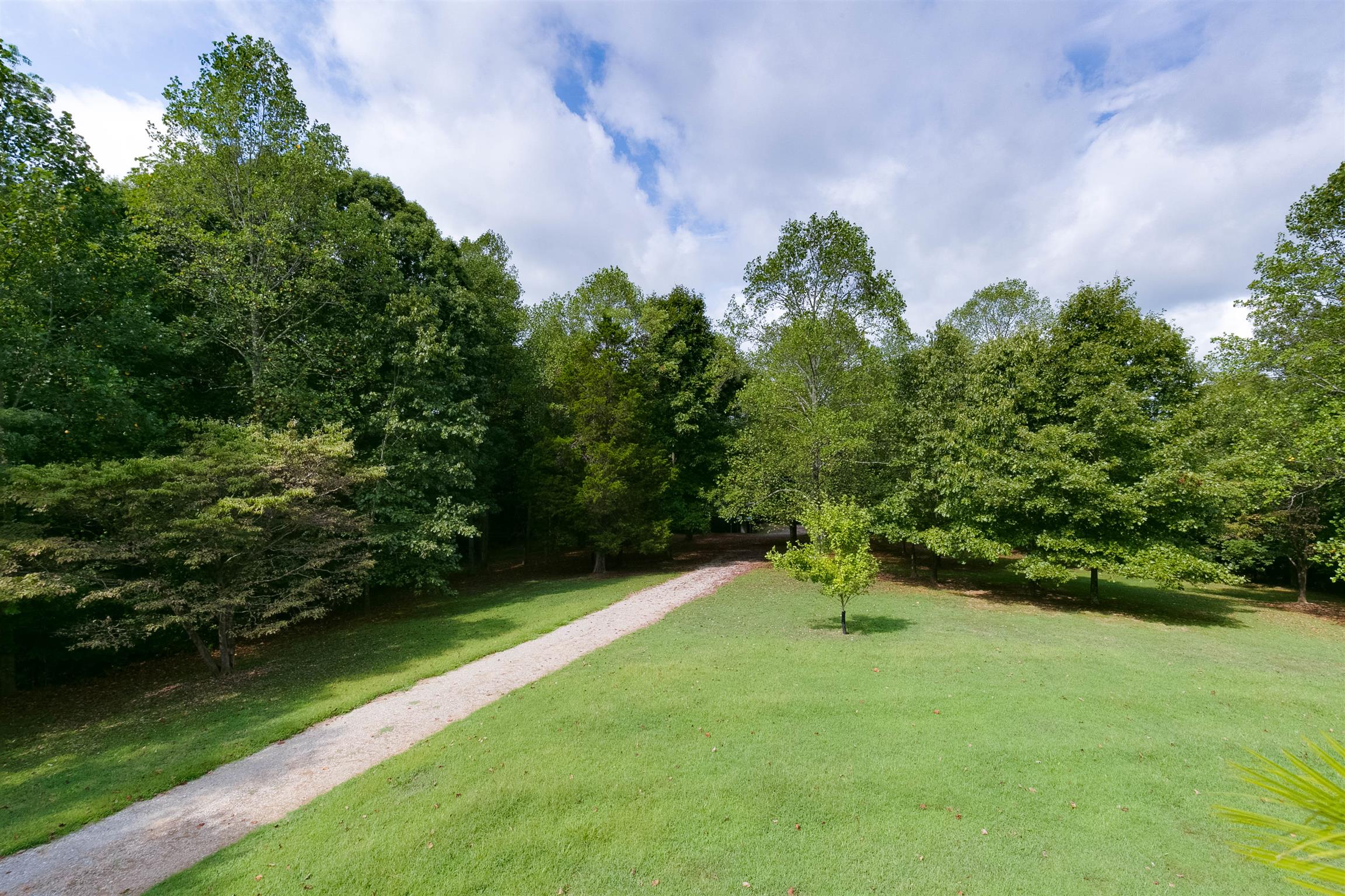 3637 Forte Road Joelton, TN 37080 - Photo 28 of 30 View of the Backyard showing driveway to Detached Metal Building