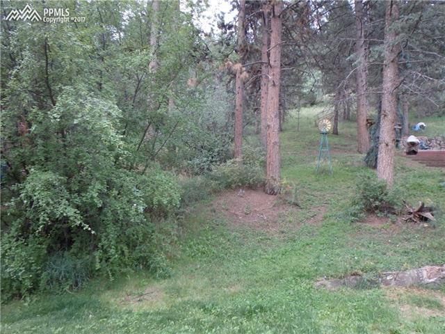 9345 Ute Road Cascade, CO 80809 - Photo 10 of 12