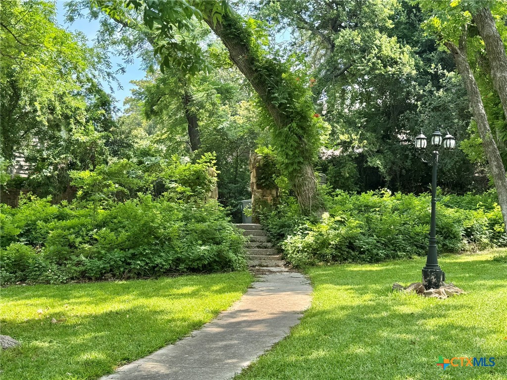 3221 West Ave R Temple, TX 76504 - Photo 5 of 48 a view of a yard with a tree