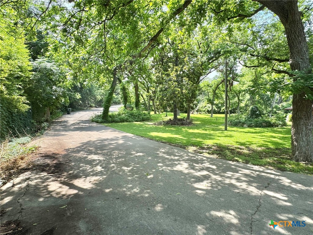 3221 West Ave R Temple, TX 76504 - Photo 6 of 48 a view of a tree in a yard with a house